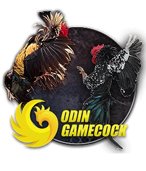 OD Cock